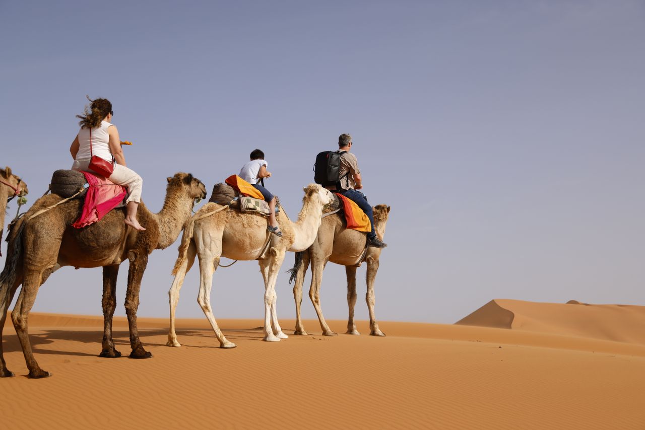 Explore the serene desert landscapes on camelback with family, capturing the essence of travel and adventure.